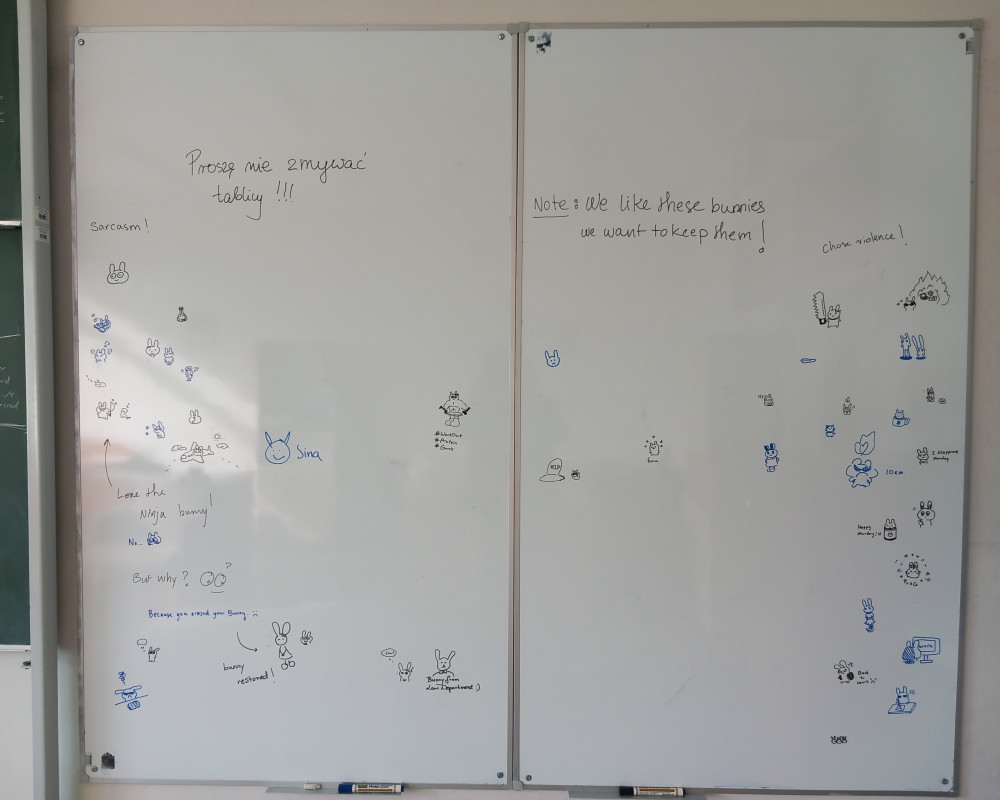 the bunny board in room 366 drawings of rabbits on the board